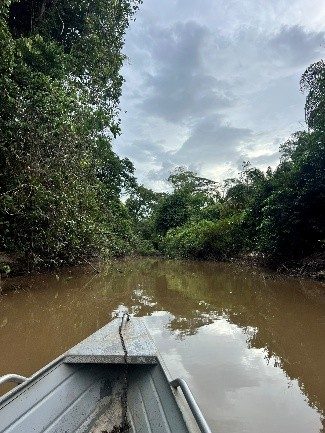 Projeto Hidrologia, sedimentologia e qualidade ambiental baixo curso do rio Gurupi: Avaliação de impactos de garimpo na área do Quilombo de Itamoari