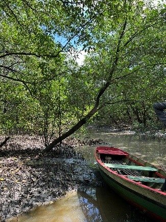 Projeto Modelagem numérica e fluxos biogeoquímicos entre a pluma do rio Amazonas e manguezais: Sequestro de carbono, sedimentação costeira e vulnerabilidade num cenário de elevação do nível do mar